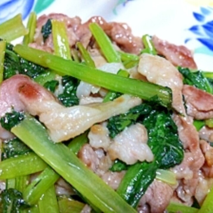 【簡単×栄養↑】豚肉と小松菜の醤油炒め